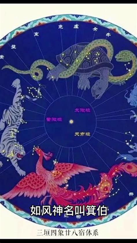 二十八星宿图|二十八宿